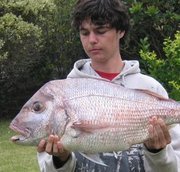 Matt  Bardwell