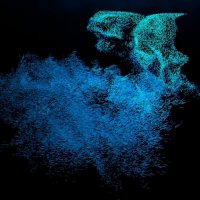 Kim-Oliver  Feldhoff