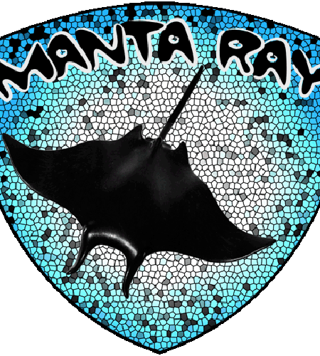 Ray  Manta
