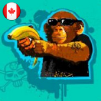 Francois van den Broek