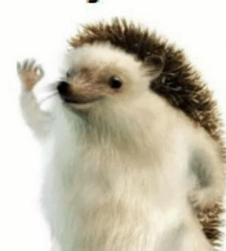 Jakub Stachu