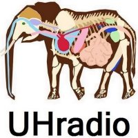 UNDERGROUNDHITRADIO