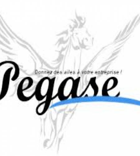 pegase97