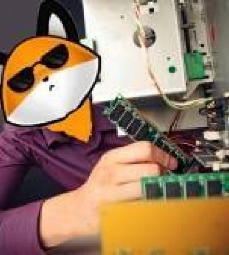 Fox Black