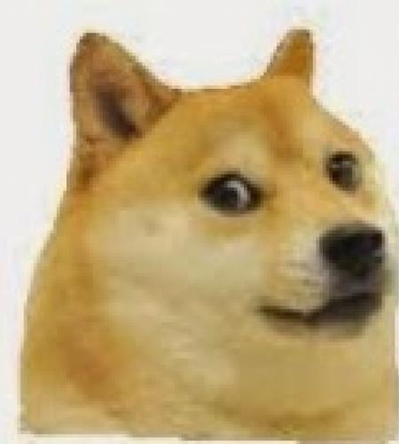 DOGE