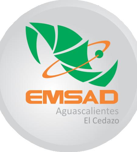 EMSaD El Cedazo