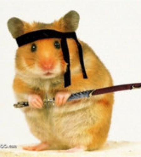 NinjaHamsta